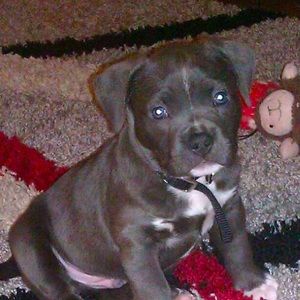 Meet your Posher, Alizé